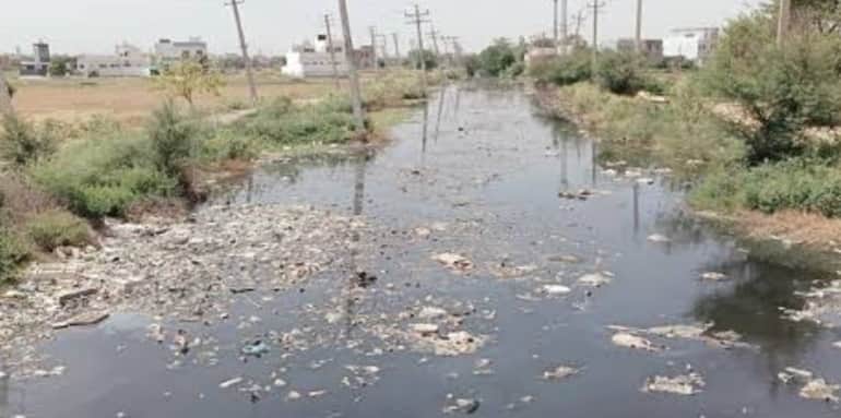 ग्योंग ड्रेन में जमा गंदगी। संवाद