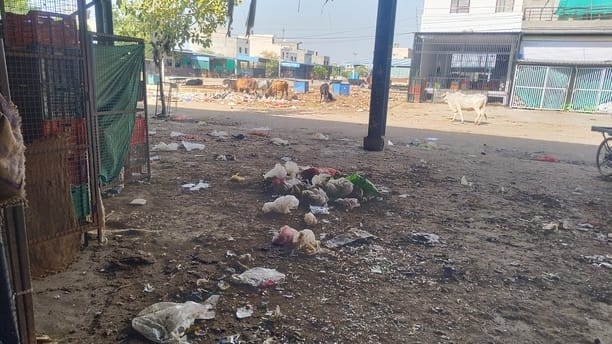 A market turned into a garbage dump... business ruined at the new vegetable market due to a derailed sanitation system.