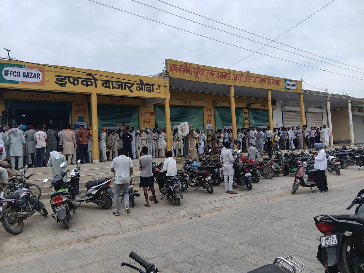 As soon as 500 bags of DAP reached the IFCO market, farmers lined up, and 250 of them got 2 bags each