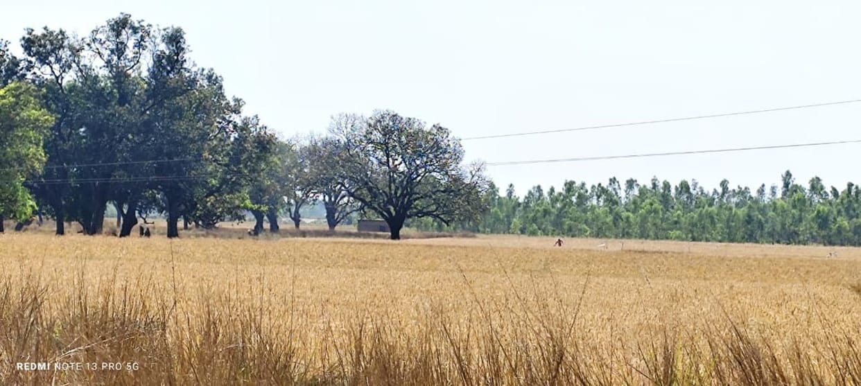 Proposal for industrial zone at Asroga and Unchgaon rejected