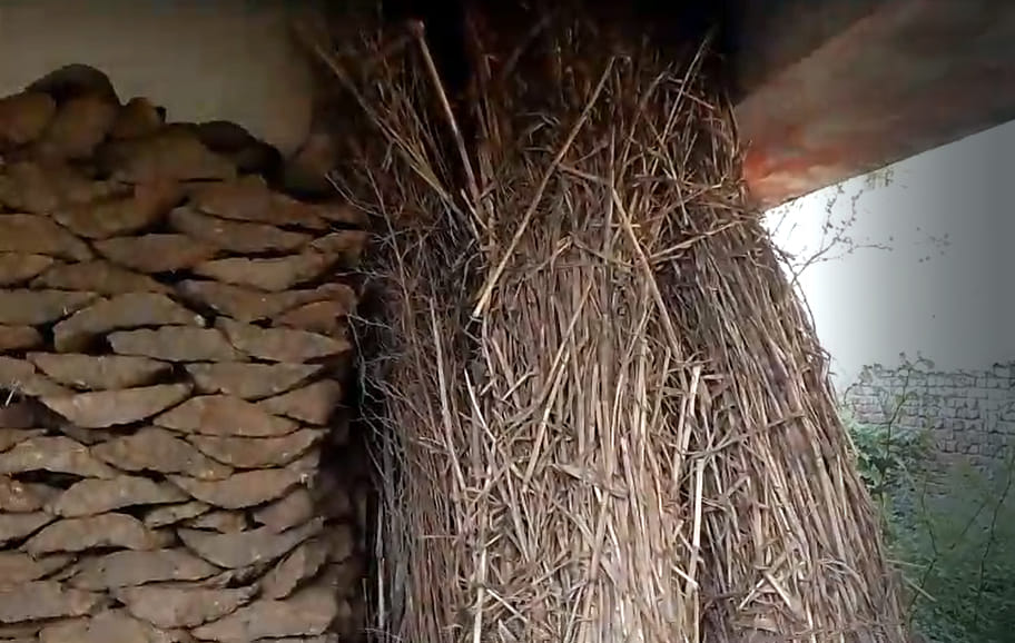 Health sub-centre filled with dung cakes and crop residue; village community hall also encroached upon.