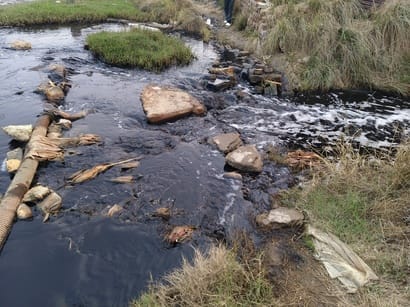 Pollution in the Sahibi River region... activist's campaign begins to yield results.