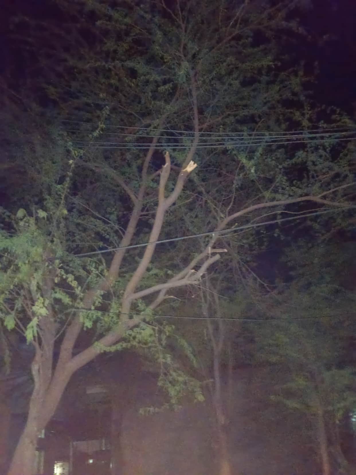 The electricity corporation carried out repair work on the 33 kV line in Lakhanmajra.