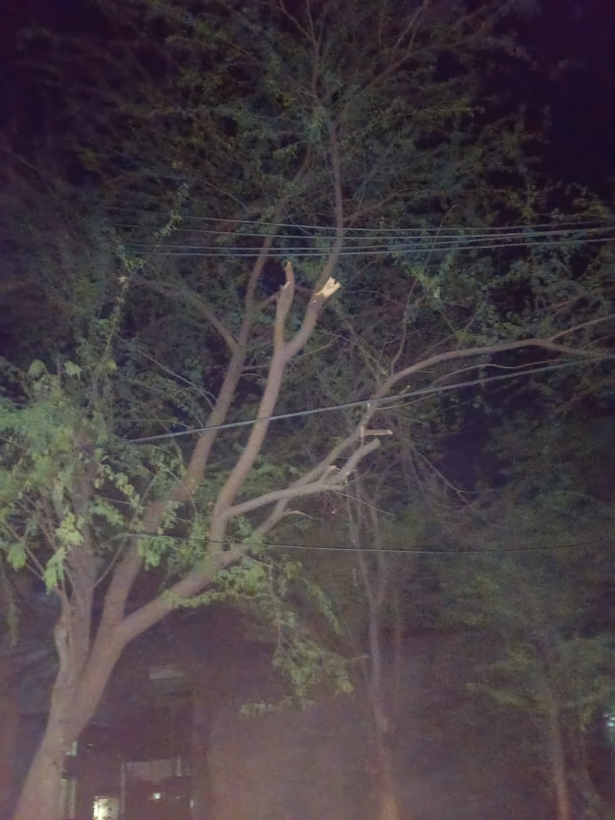 The electricity corporation carried out repair work on the 33 kV line in Lakhanmajra.