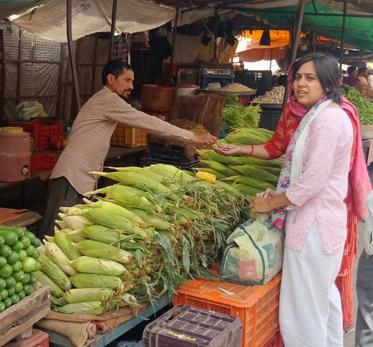 Uttar Pradesh's maize is finding favor with people; market arrivals have picked up.