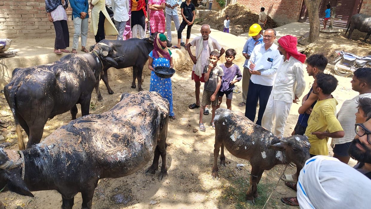 unnao news