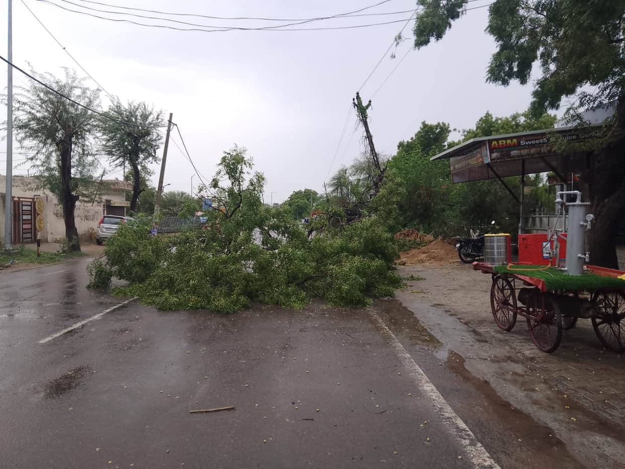 50 electricity poles toppled by the storm; power supply disrupted in several villages for five hours.