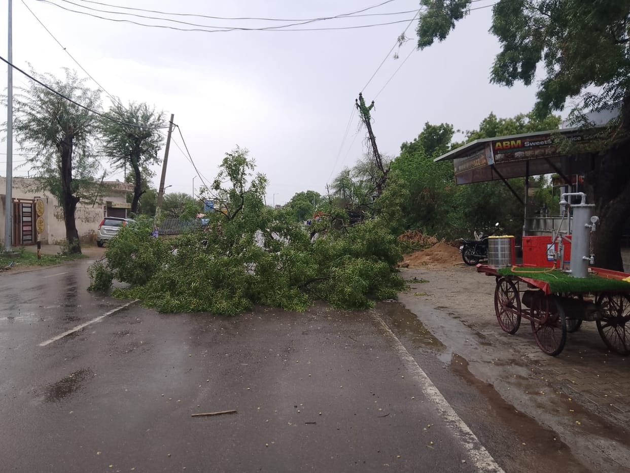 50 electricity poles toppled by the storm; power supply disrupted in several villages for five hours.