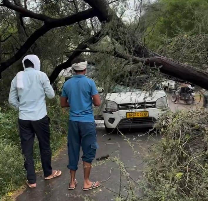 Tree falls on vehicle during storm; major accident averted.