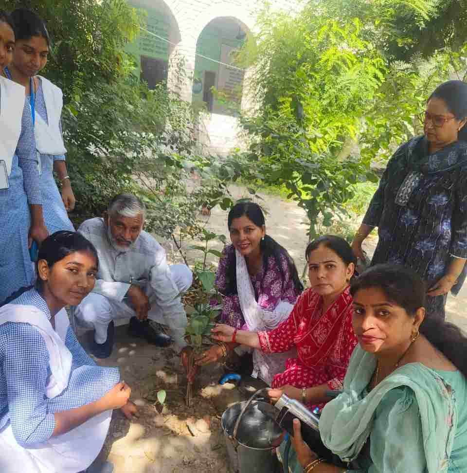 Plantation done at the inauguration of Green Summer Camp