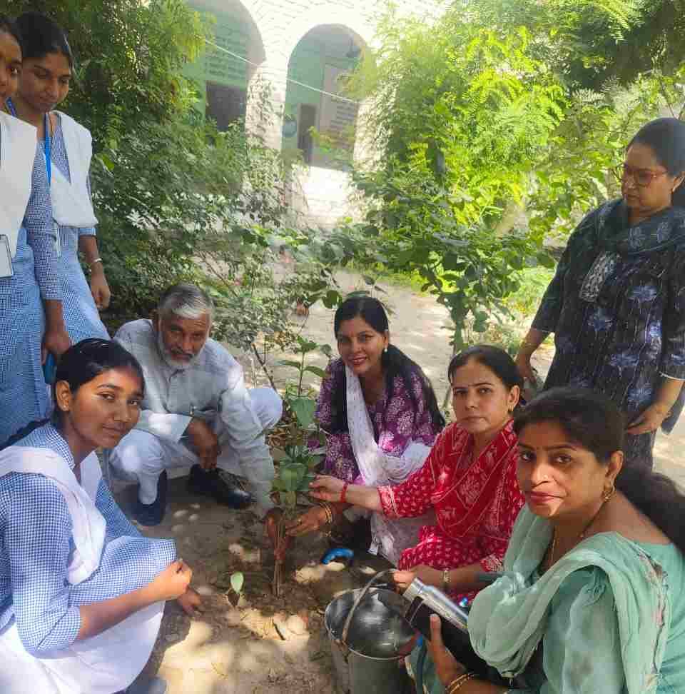 Plantation done at the inauguration of Green Summer Camp