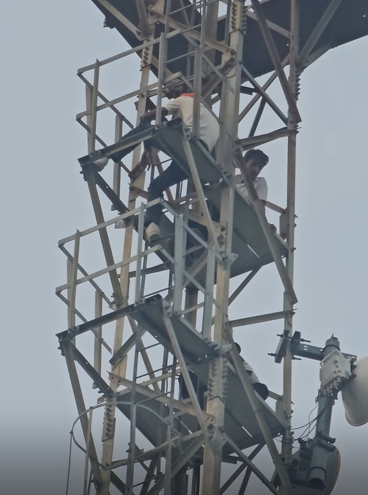 Three cow protectors climbed a tower to demand action regarding the deaths of cows.