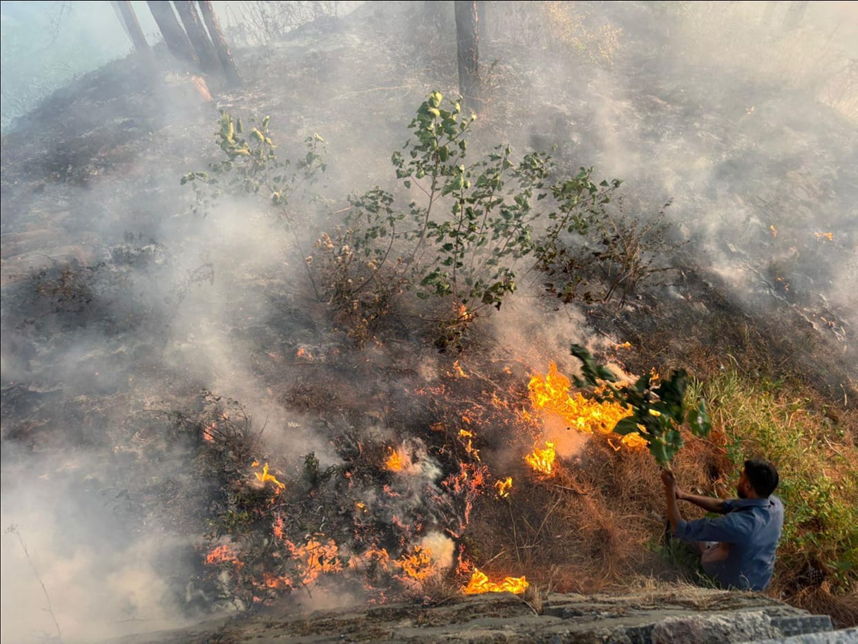 Fire breaks out in the forest of Chabal village, Kasauli.
