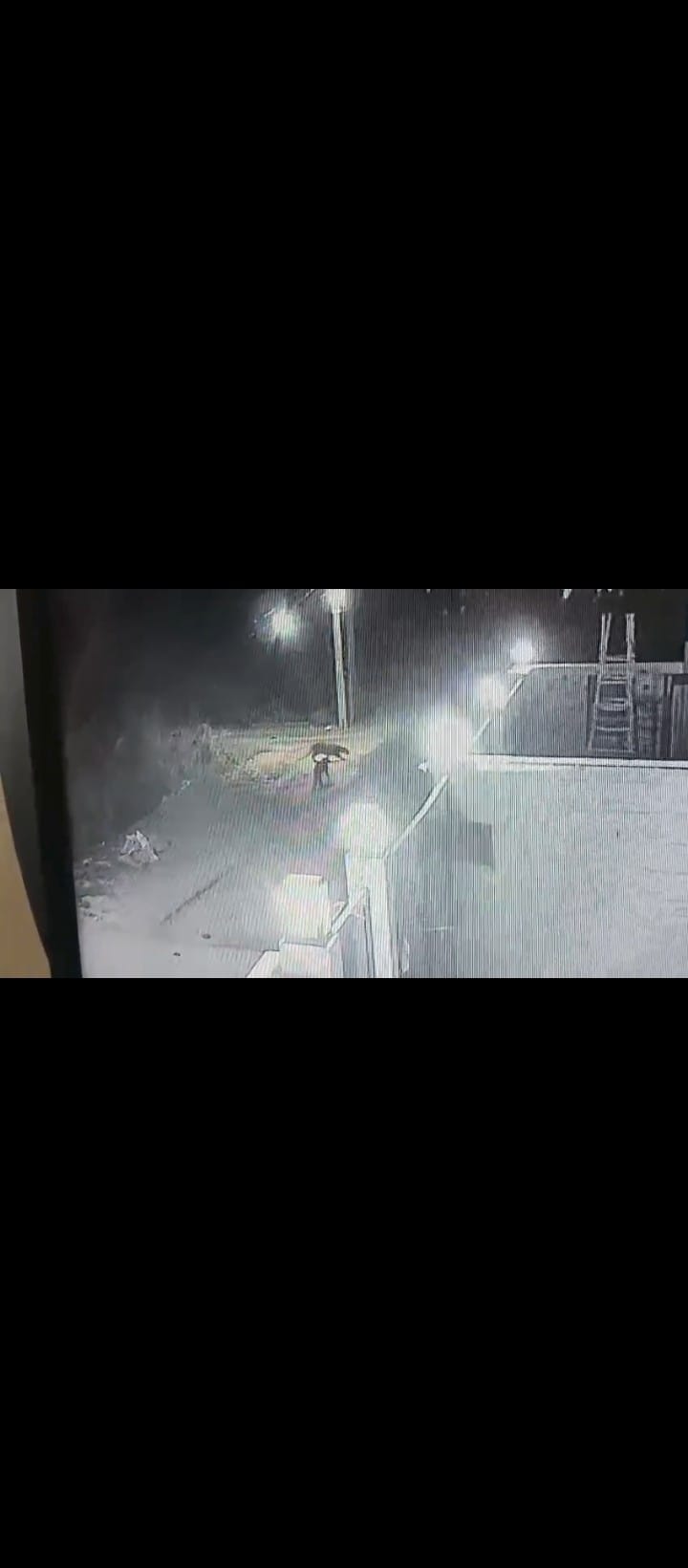 Three leopards entered Siddhabali Vihar Colony, captured on CCTV camera