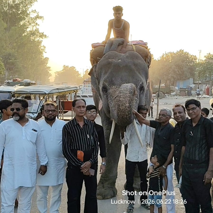 Lakshmi the elephant walked 110 km on foot for the sake of tradition.