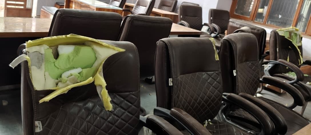Monkeys created panic in the court, tore the seats of the chairs.