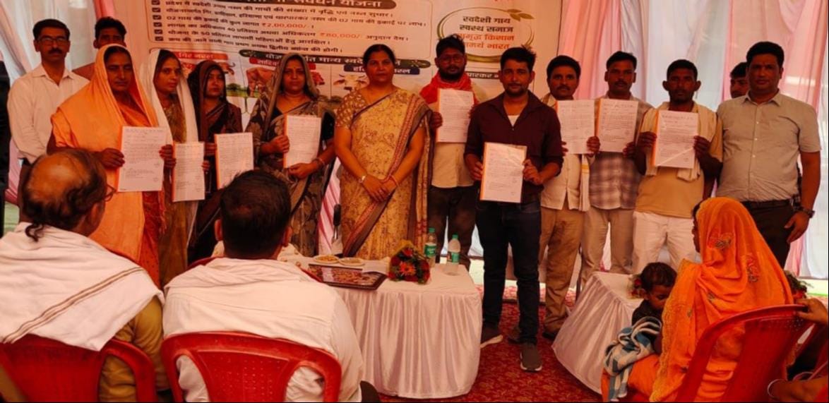 Earn thousands per month by rearing improved breeds of cows: MLA