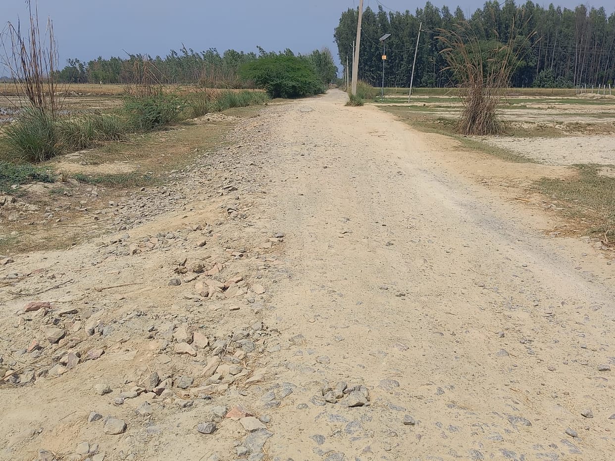 Access road built 22 years ago in dilapidated condition.