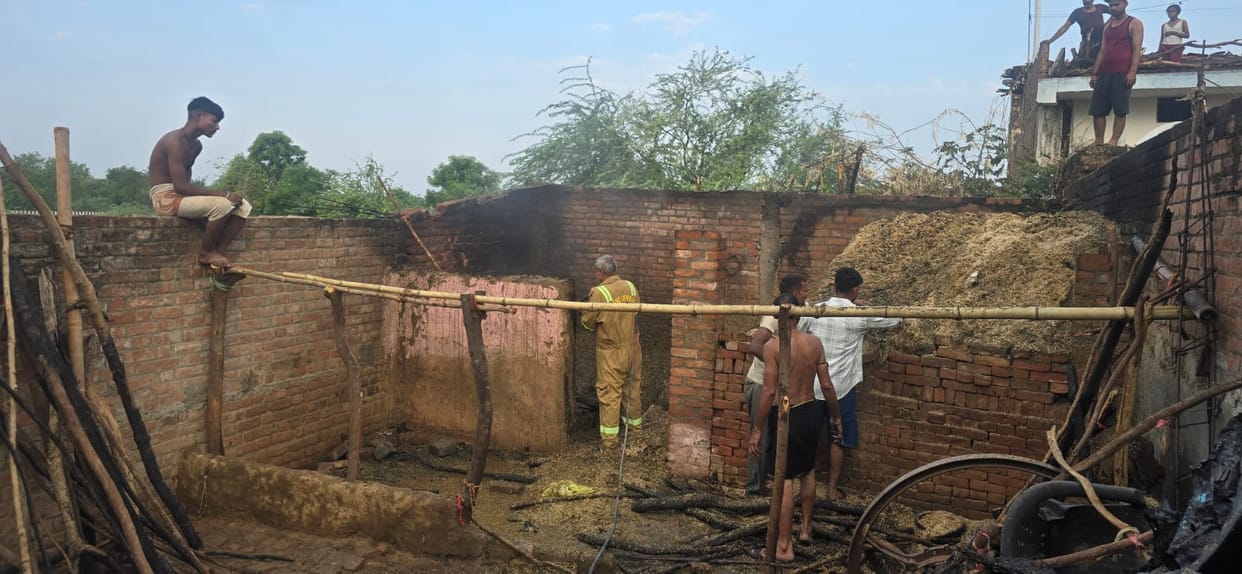 Fire breaks out in house; 12 goats and a cow suffer burns.