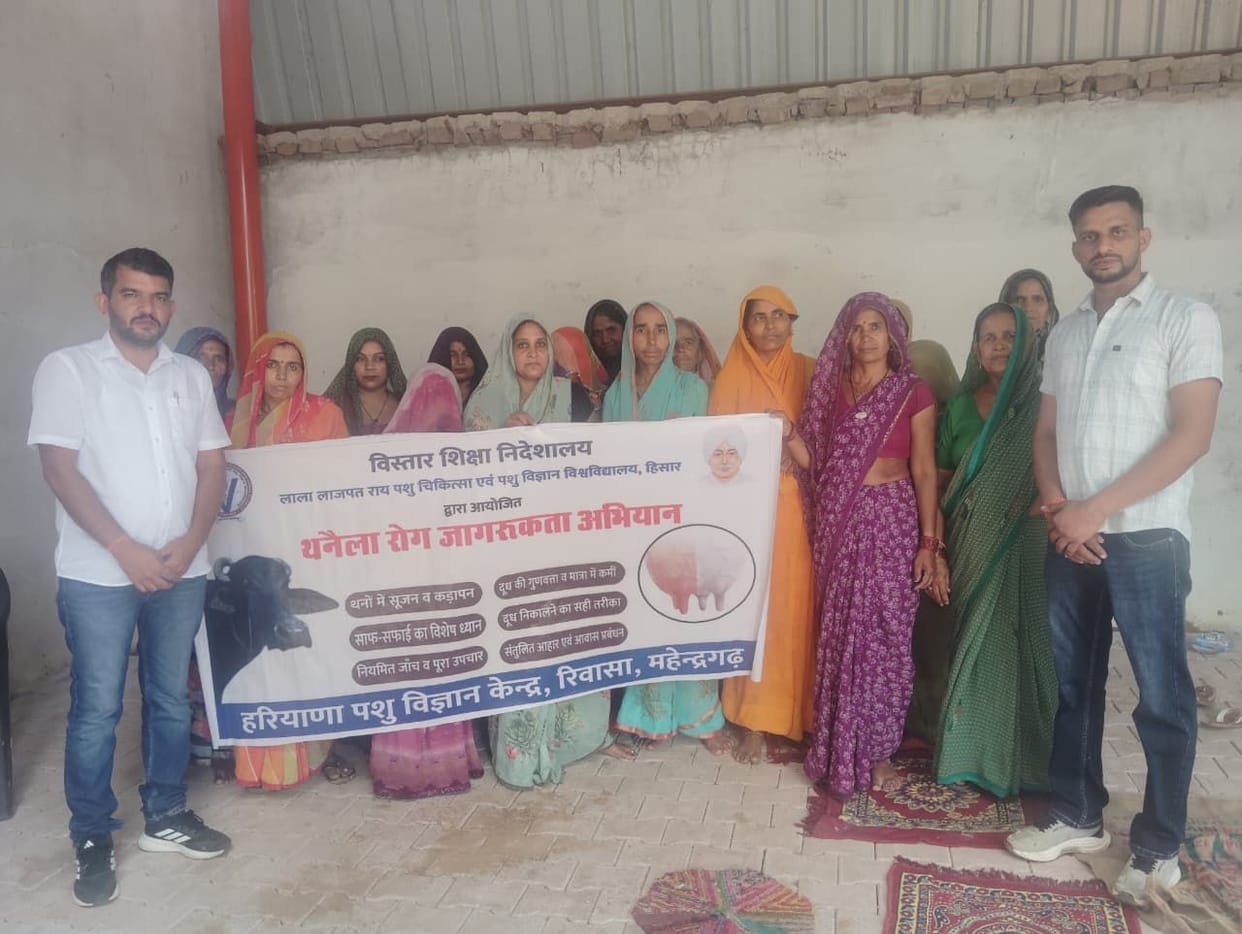 Created awareness about the prevention of mastitis.