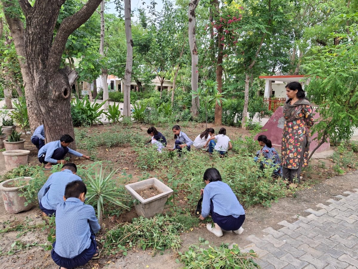 Rewari News: विद्यार्थियों को प्रकृति से जुड़ने के लिए प्रेरित किया