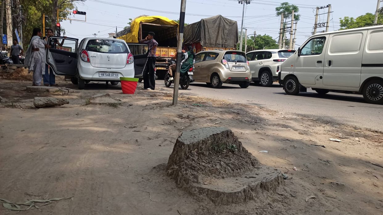 Risk of accidents increased due to cutting of trees and leaving behind remnants