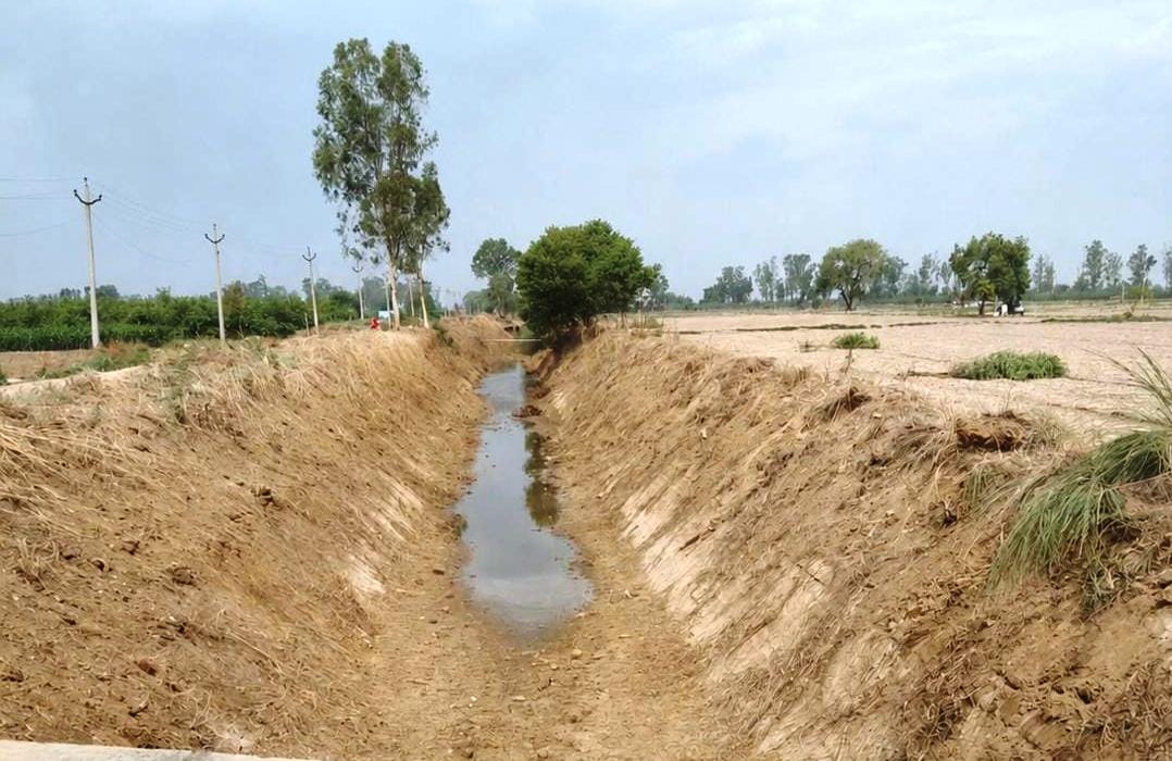 Cleaning work of the Mundhal-Talu link drain in final stage; six villages to benefit.