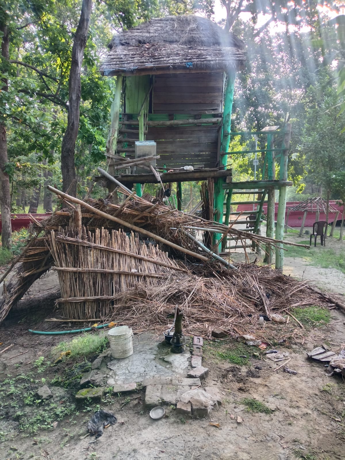 Elephants damaged the rear of the Malasi watch tower, forest workers escaped and saved their lives.