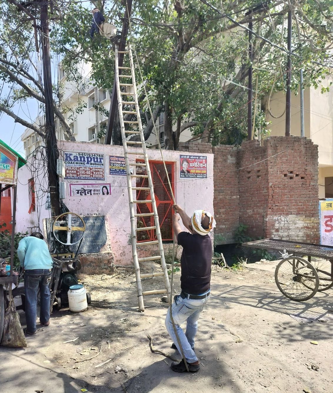 Power supply to 50 houses was disrupted after a branch fell at Parashuram Chowk.