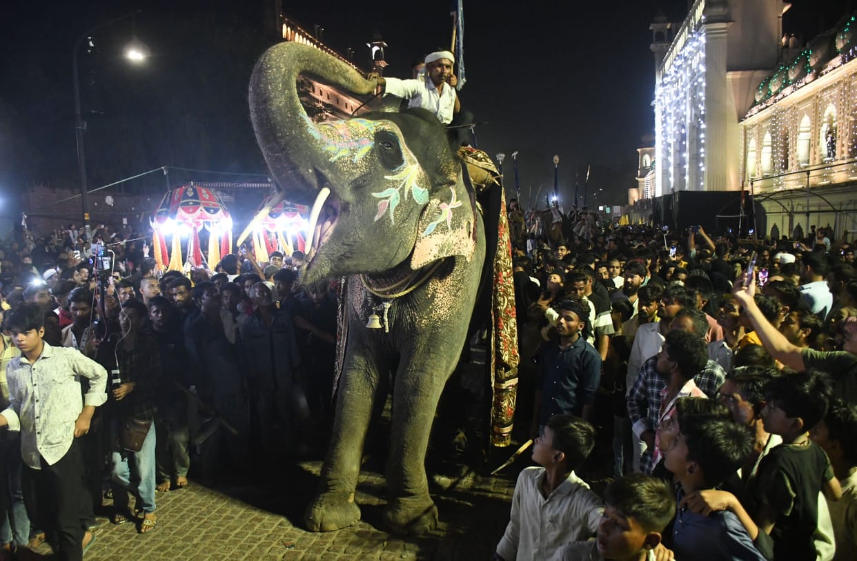 A massive wave of devotion surged during the Shahi Mehndi procession.