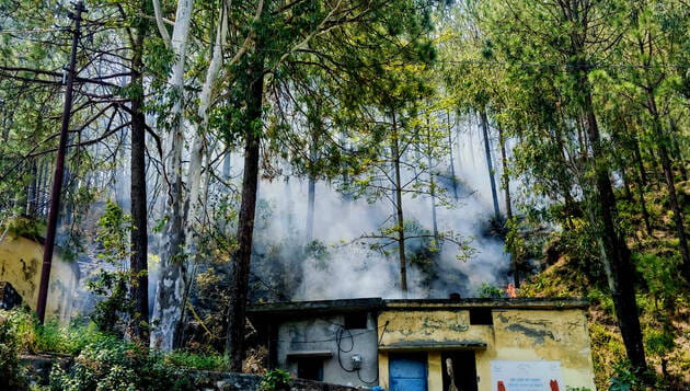 Forest burned for 15 hours just 500 meters away; Forest Department unaware.