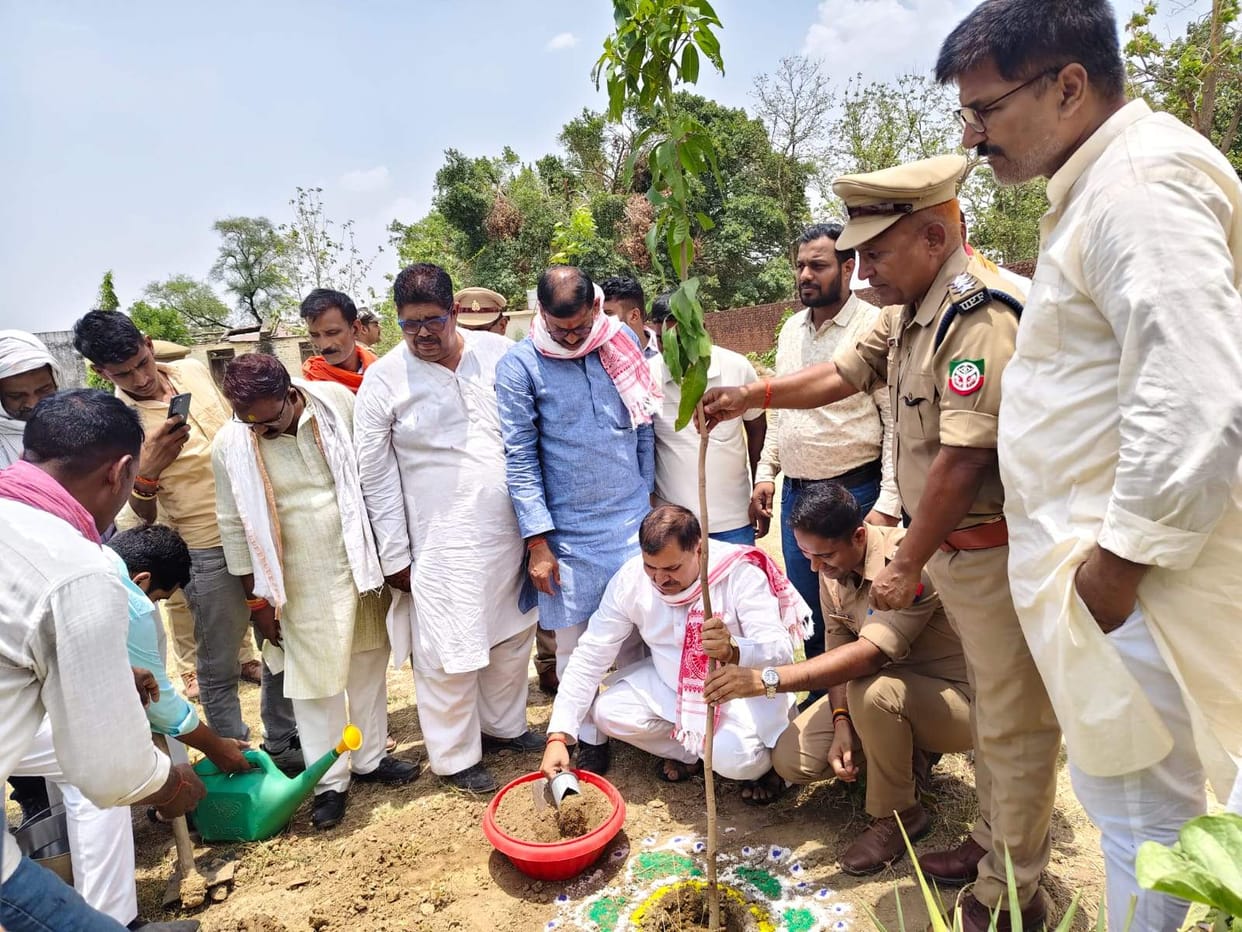 Saplings planted on Dr. Mukherjee's martyrdom day.