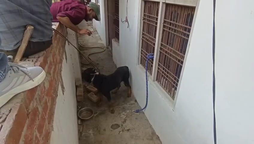 Shankar's dog was rescued after three hours of strenuous effort.