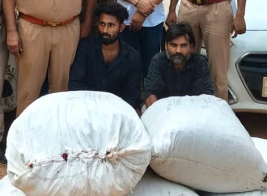 गांजा तस्करी में गिरफ्तार अंतरराज्यीय तस्कर।