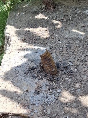 The bolts have corroded and crumbled due to rust, yet on paper, the unipole remains strong.