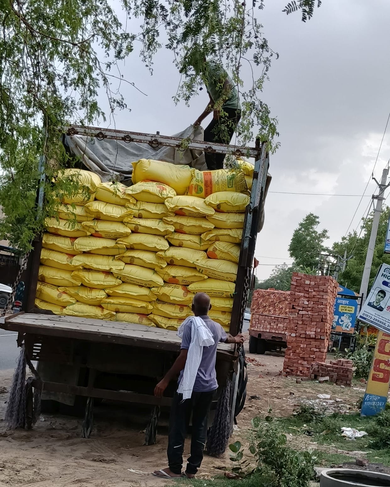 2,200 bags of urea arrive at the IFFCO center; farmers to receive fertilizer on time.