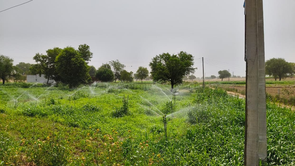 Responsibility assigned to 92 new and 36 existing Patwaris for creating unique IDs for farmers
