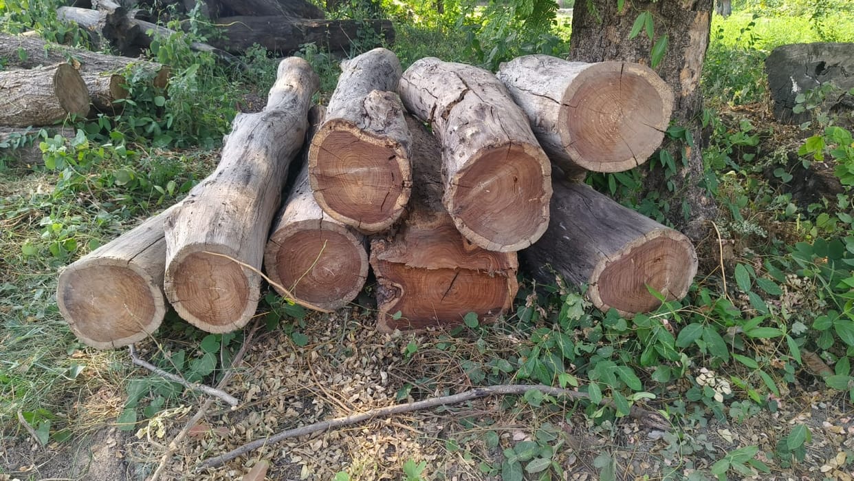 House raided, rosewood planks, chiran and cutter machine recovered