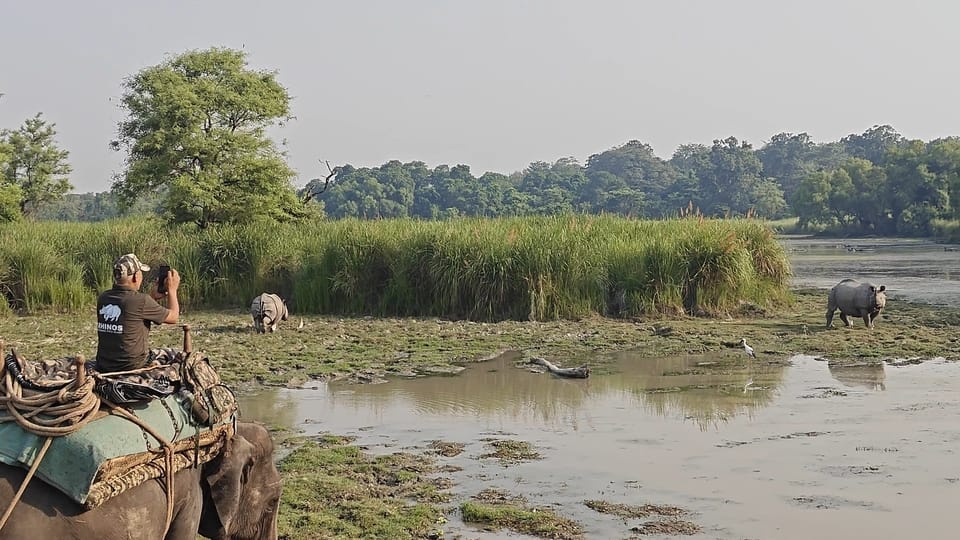 Three-day annual rhino census begins in Dudhwa