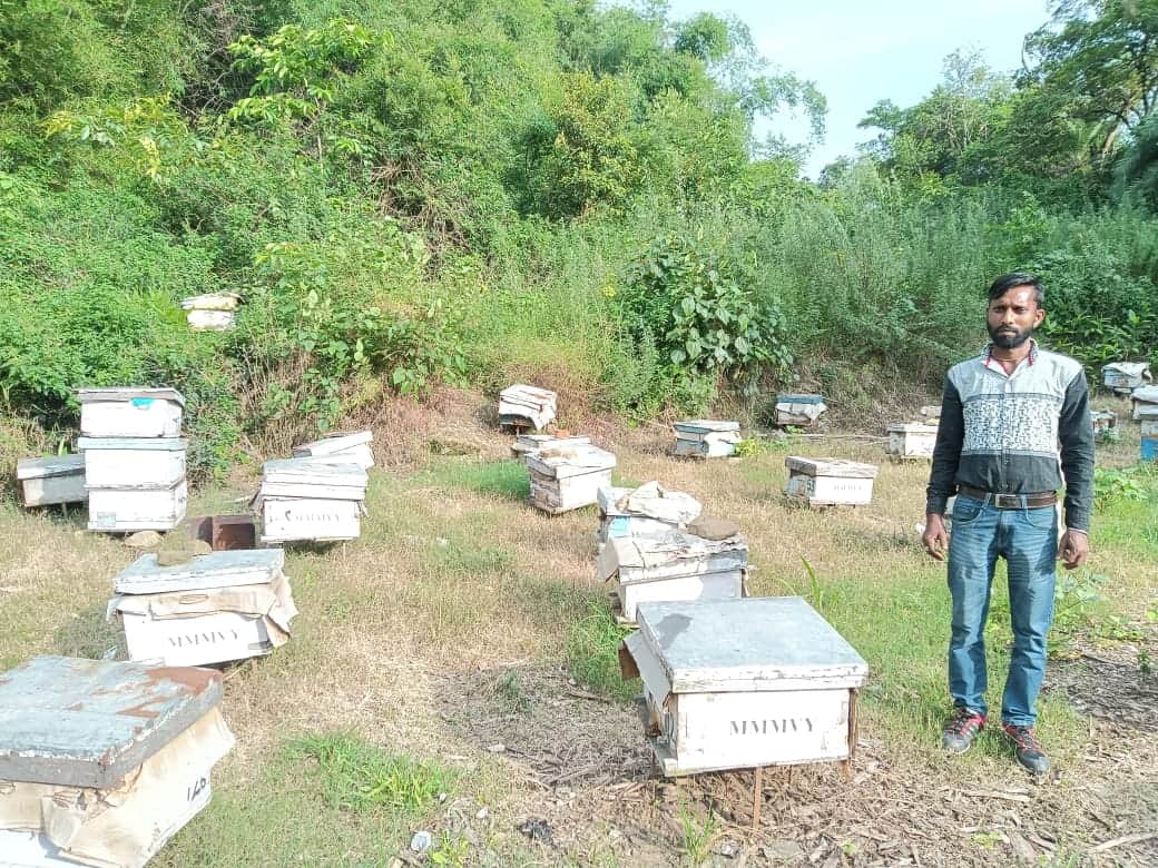 विकास खंड नादौन के तहत किटपल में मधुमक्खी के बॉक्स के साथ अशोक कुमार। स्रोत स्वयं
