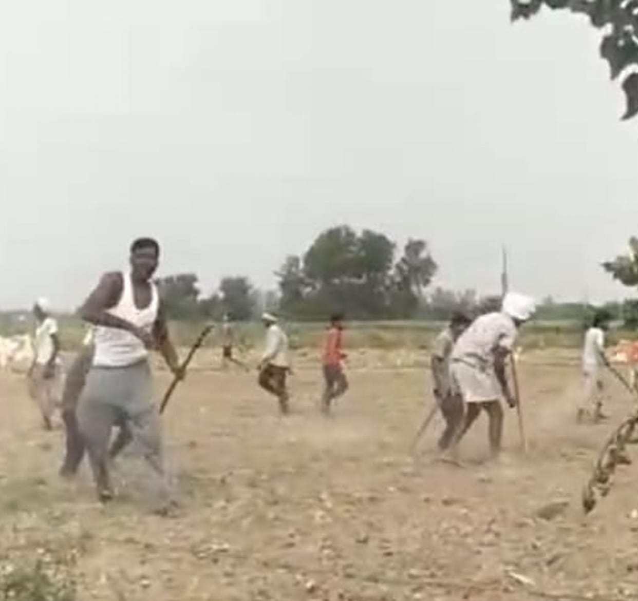 50 rounds fired in land dispute; eight injured in stone-pelting.