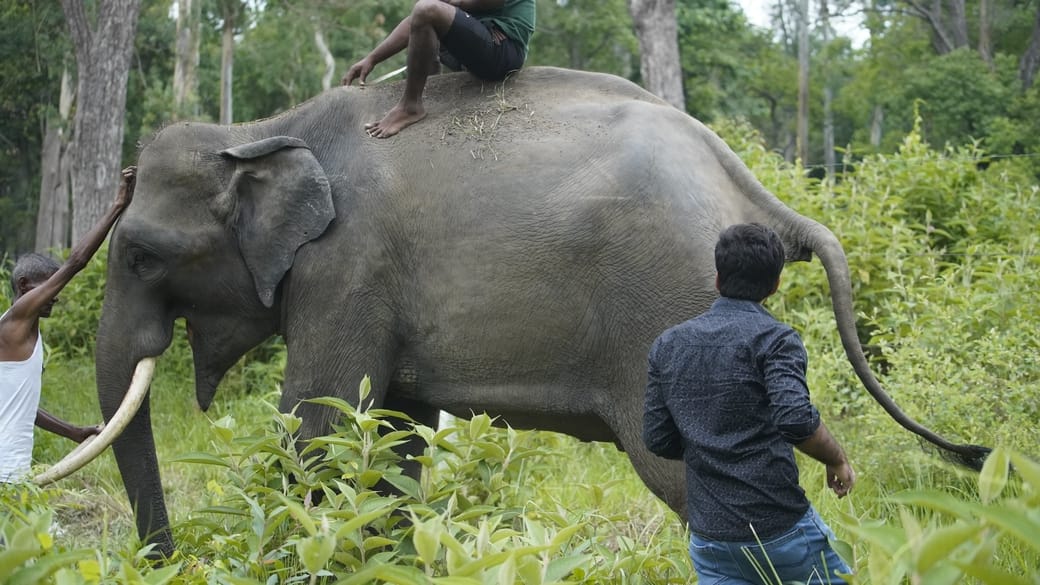 Changanala changes the mood of angry Vinayak