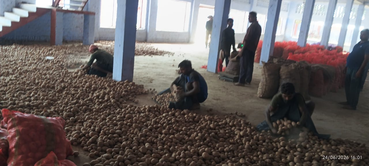 फोटो-1 जहानगंज स्थित शीतगृह में सूखने के बाद बाहर भेजने के लिए बोरों में भरे जा रहे आलू। स्रोत: