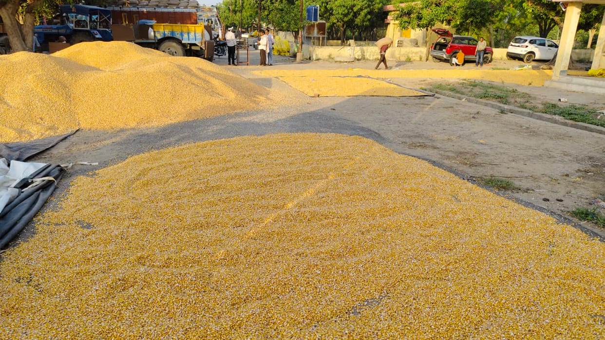 Ethanol is being produced from the district's maize in Gujarat and Maharashtra
