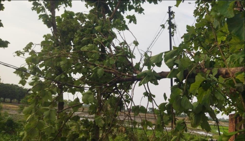 Power supply disrupted in 100 villages due to storm and rain; two cows died after a wall collapsed.