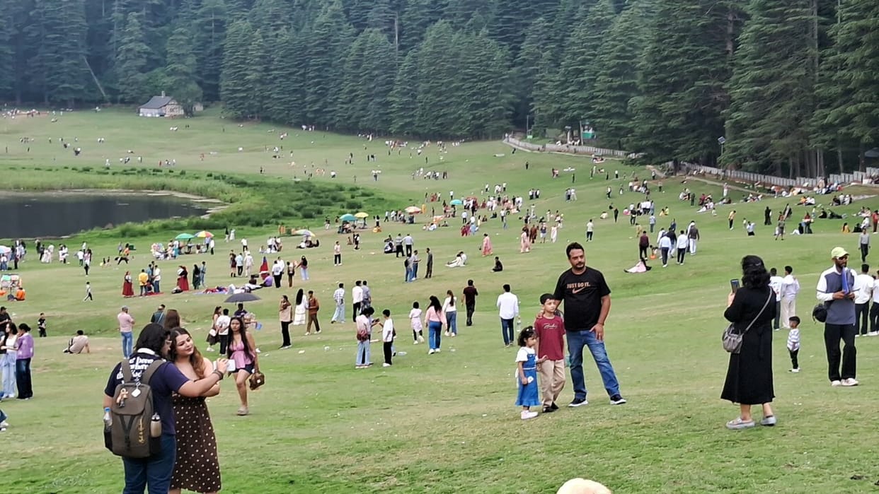 Tourists spending moments of tranquility in the shade of deodar trees.