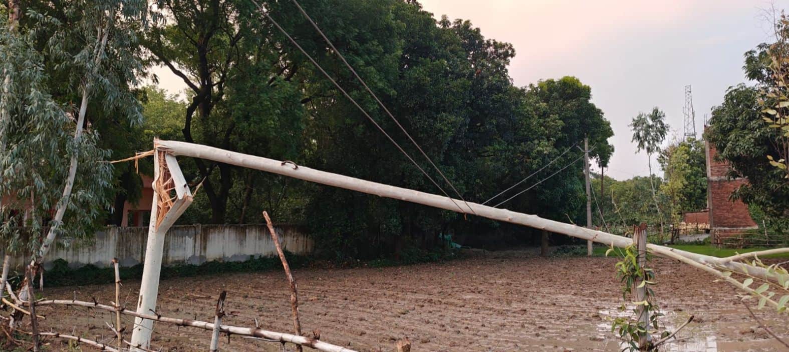 मोतिगरपुर में थाने के सामने विद्युत तार पर गिरा यूकेलिप्टस का पेड़। संवाद