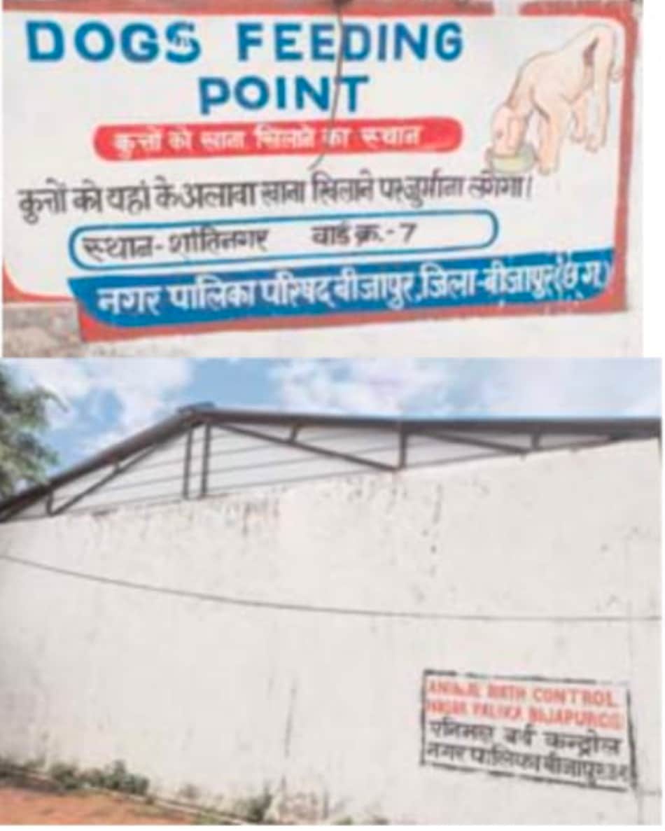बीजापुर न्यूज