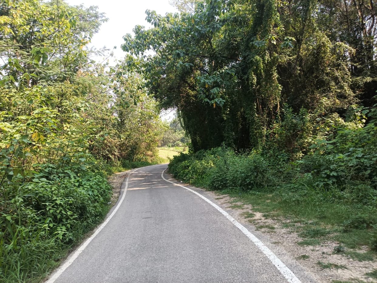 Roadside drainage ditches clogged, rainwater entering fields; farmers' concerns mount.