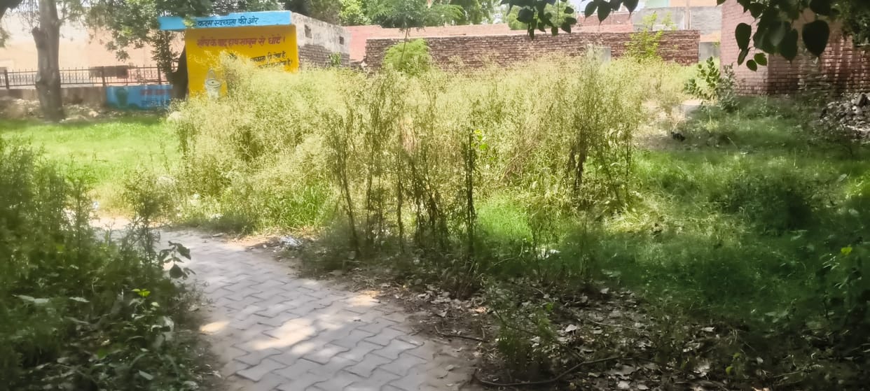 parks in bad condition